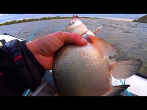 В МОРОЗ ! РЫБАЛКА С НОЧËВКОЙ НА ЗАКИДУШКИ!