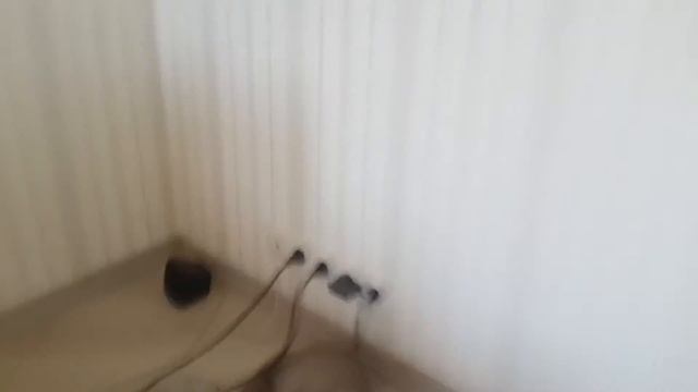 Скоттиш фолд, шотландский вислоухий кот. Первый год жизни с котом. Трансформация из глиста в жирика смотреть онлайн