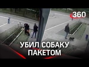 Убил пакетом собаку, которая нападала