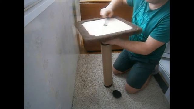 обзор когтеточки столбика для кошек смотреть онлайн