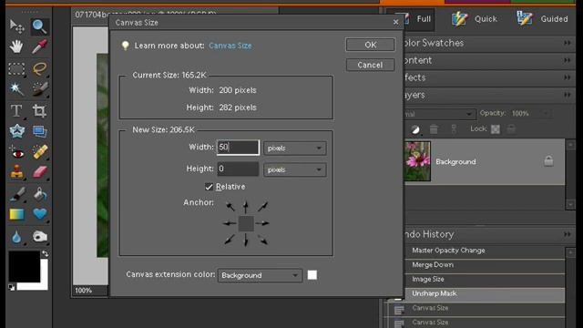 Photoshop Elements: Change Canvas Size смотреть онлайн