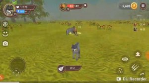 Я играю в симулятор волка играем за волка :-)