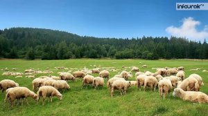 Северный Кавказ. Хозяйство района