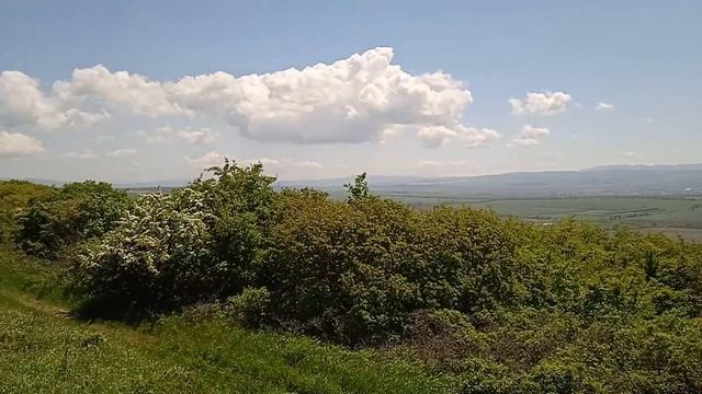 Потрясающий участок в СОТ 'Пищевик' смотреть онлайн
