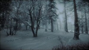 Зимняя вьюга и звуки падающего снега ASMR в красивом зимнем лесу для крепкого и комфортного сна