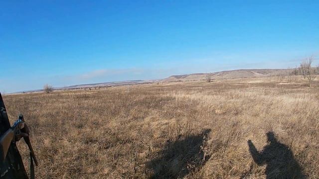 Открытие охоты на зайца.Сезон 2021-2022.Ночуем в палатке.Готовим еду на костре. смотреть онлайн