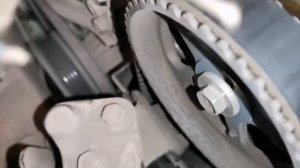 Фав вита (Faw Vita)  меняем грм.