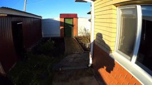 николаевские голуби как? когда?  СКОЛЬКО??  и чем? я кормлю  голубей