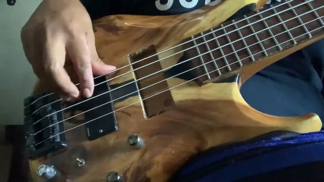 Review pickup bass ADX5 смотреть онлайн