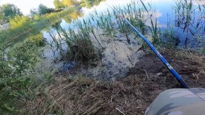 Один на Озере в Шатуре. Рыбалка на Удочку. Линь,Окунь,Плотва. Бешенный клёв на дешёвую Удочку.