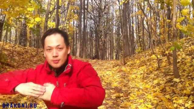 Tutting combos (tutorial for beginners) смотреть онлайн