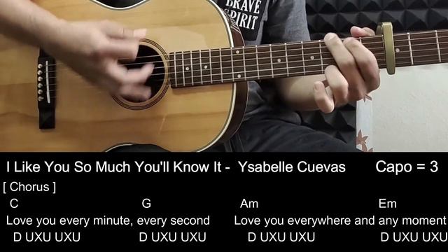 I Like You So Much, You'll Know It - Ysabelle Cuevas Guitar Tutorial with Chords /Lyrics смотреть онлайн