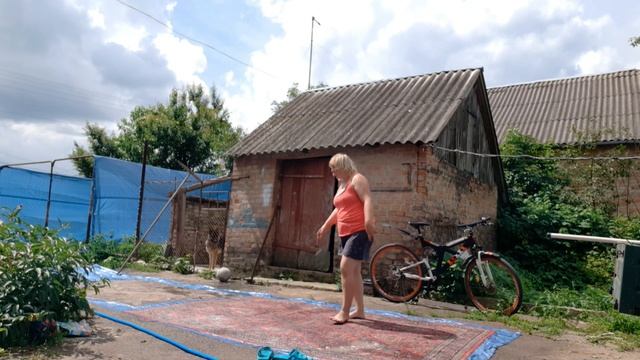 Подготовка и стирка ковров с помощью бензокосы смотреть онлайн