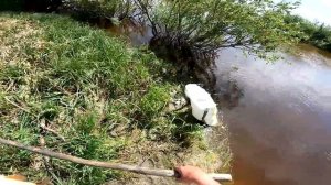 рыбалка на паук подъёмник ловля сазана рекомендую посмотреть