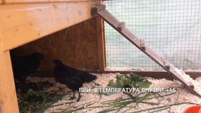 Кулинарный фестиваль с Софией