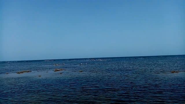 Пешие прогулки на побережье каспийское море в Сумгаите сентябрь 2021 смотреть онлайн