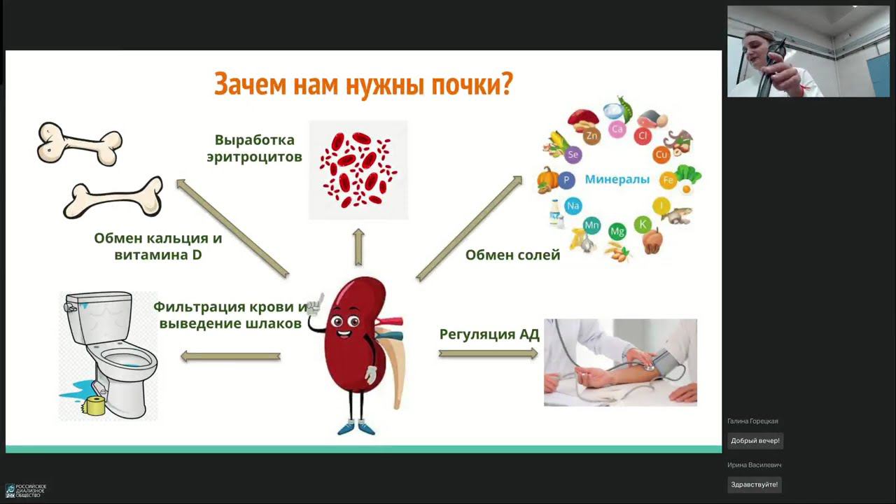Школа пациентов с ХБП общие вопросы врачу нефрологу  Голубева О Р