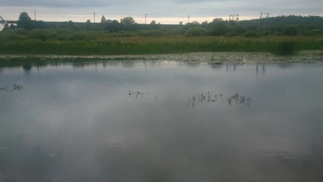 Река Оредеж. Посёлок Оредеж смотреть онлайн