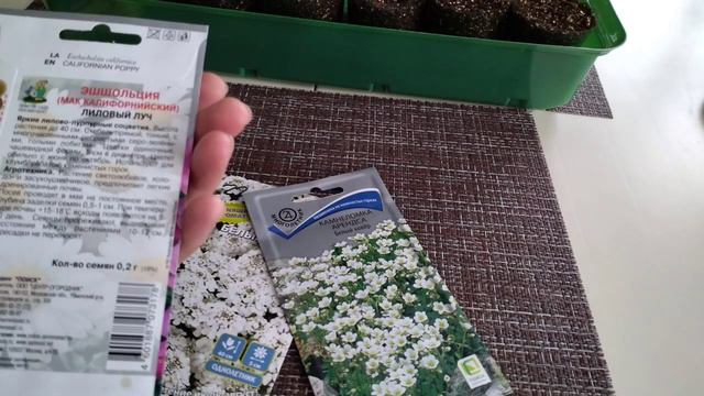 Цветов много не бывает. Сажаем ампельную  петунию  .