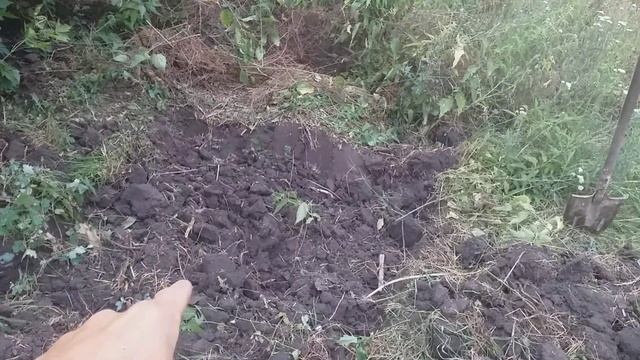 Скважина за 150000 смотреть онлайн