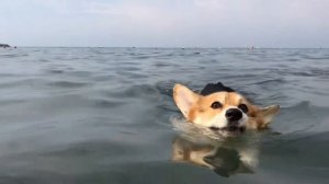 Дорогою добра. Иди мой друг всегда , иди дорогою добра