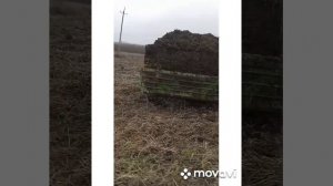 вывоз навоза на поле