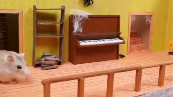 спасаем хамечков от бабки Грэни и ещё кто-то?