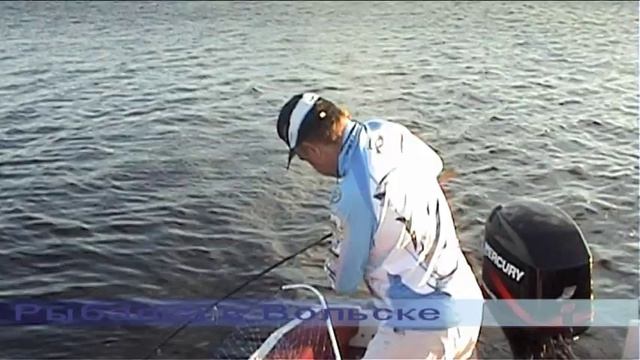 Рыбалка в Вольске Трофей на джиг смотреть онлайн