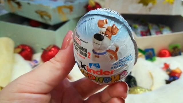 Хотела собаку, а мне подарили его!!! смотреть онлайн