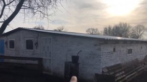 СВИНАРНИК на 100 ГОЛІВ ДЕШЕВО І СЕРДИТО