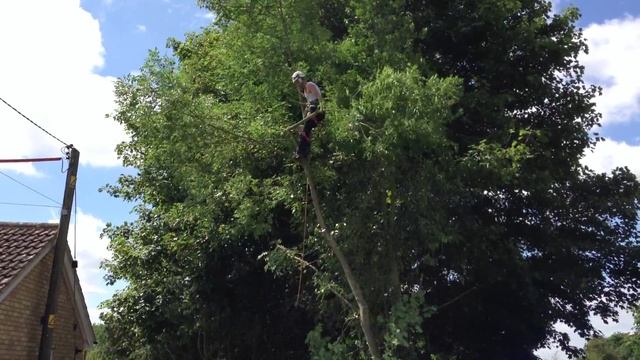 Belle Vue - Front Tree (Steve) смотреть онлайн