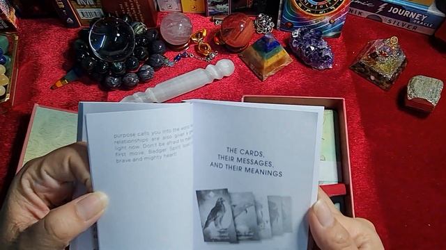 [Unbox] รีวิวไพ่ The Spirit Animal Oracle смотреть онлайн