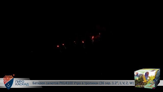 Батарея салютов УТРО В ТРОПИКАХ (36х1,2) PKU4100 смотреть онлайн