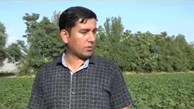 Пахта махсулоти стратеги смотреть онлайн