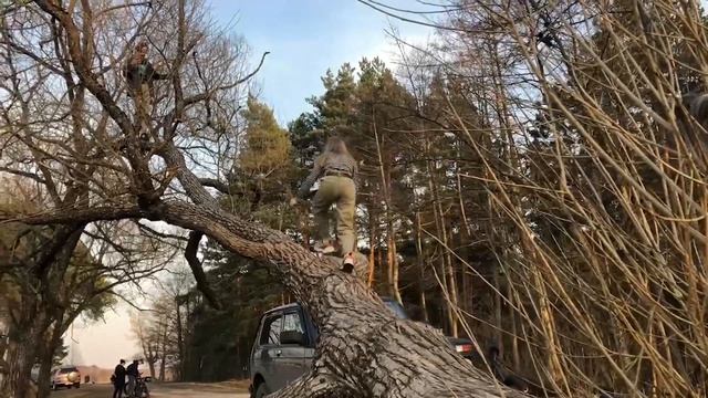 Катаемся с семьёй на велосипедах в лесу! Сделала сальто назад! смотреть онлайн