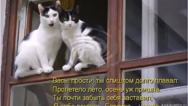 Немножко грустные осенние приколы от Сергея Иванова. Фото шоу от http://kiskavasha.ru смотреть онлайн