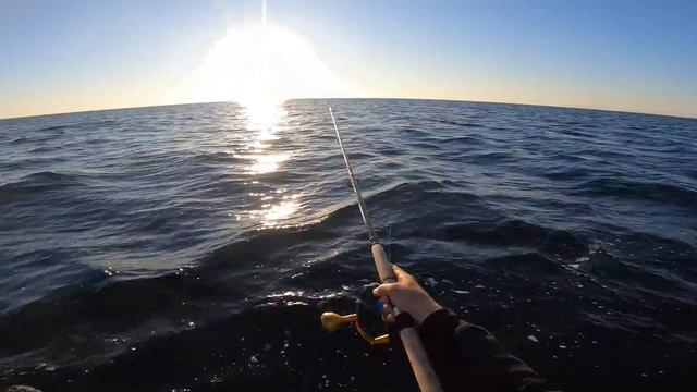This Is Why You Kayak Fish MILES from the BEACH! (But It Got SKETCHY) смотреть онлайн