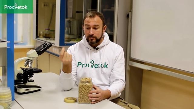 Кардамон: полезные свойства и лайфхаки с его применением. Опасные комнатные растения. смотреть онлайн