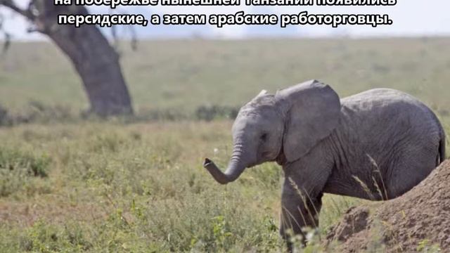 5H2SF Танзания. С сайта dxnews.com смотреть онлайн