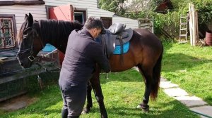 Казачья верховая езда. Посадка на коня. Классическая и степная.