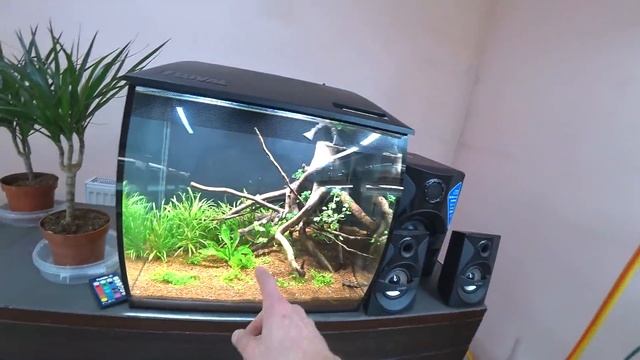 Новые жители аквариума монстра смотреть онлайн