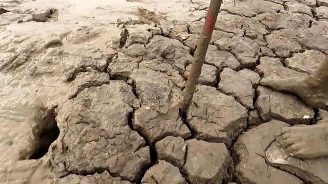 НЕВЕРОЯТНО! Мальчик Ловит рыбу в БОЛОТЕ!!! / Boy catches fish in the swamp смотреть онлайн