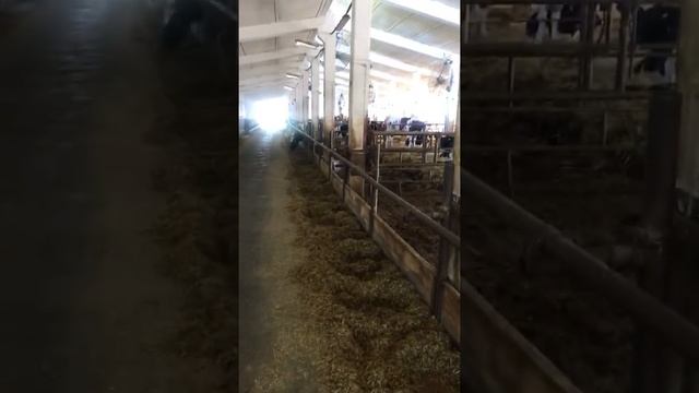 Родильное отделение смотреть онлайн