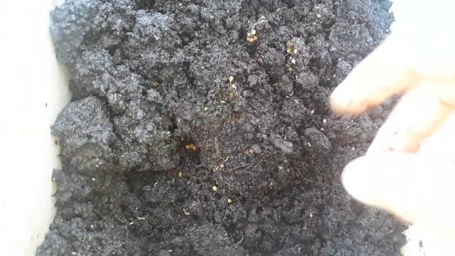 Строительная Сага