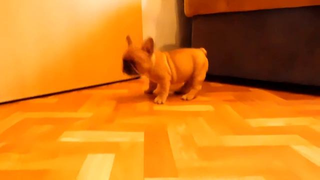 DSCN4978 смотреть онлайн