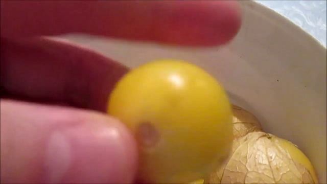 Физалис съедобный. Как хранится физалис в домашних условиях? #3 смотреть онлайн