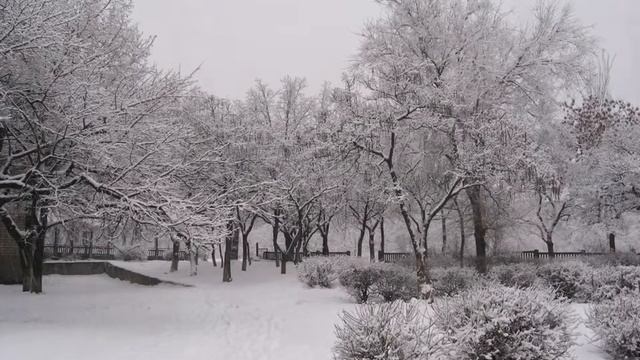 Зимовий вальс (Winter Waltz) смотреть онлайн