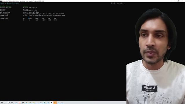 Make Your website or API publicly available for free #publicURL #FreePublicURL #ngrok смотреть онлайн