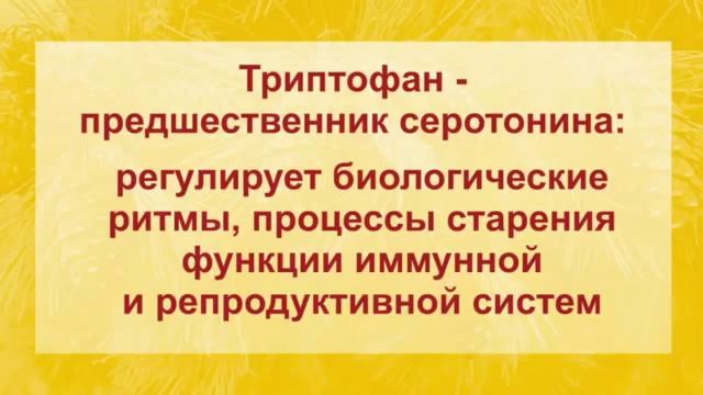 Кедровое Масло смотреть онлайн
