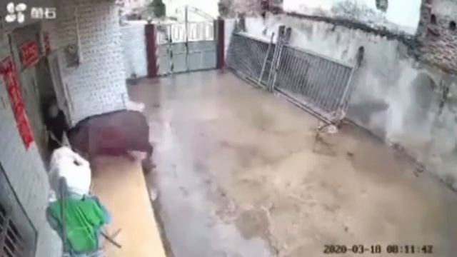 Гов одама кушт смотреть онлайн